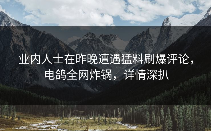 业内人士在昨晚遭遇猛料刷爆评论，电鸽全网炸锅，详情深扒