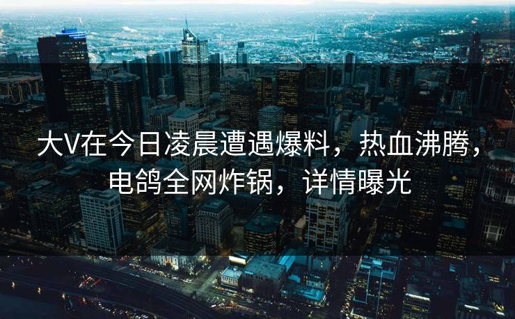 大V在今日凌晨遭遇爆料，热血沸腾，电鸽全网炸锅，详情曝光