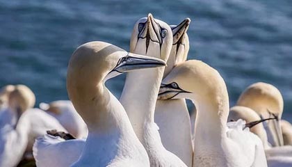 别再纠结91大事件好不好:你真正要看的是常见误区