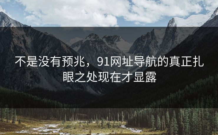 不是没有预兆，91网址导航的真正扎眼之处现在才显露